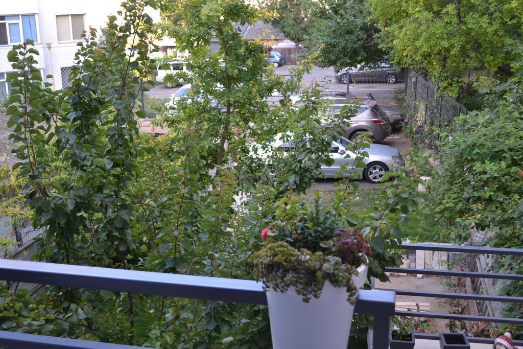 Park Apartment